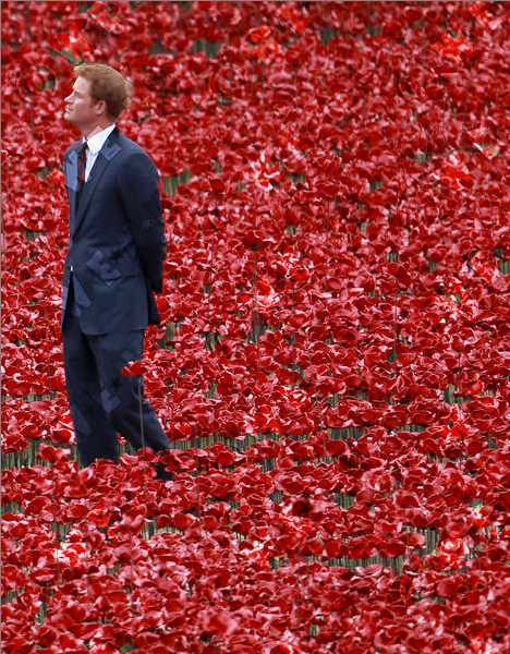 War Flowers: A Red Sea Of Ceramic Poppies