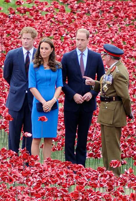 War Flowers: A Red Sea Of Ceramic Poppies