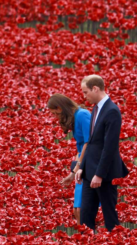 War Flowers: A Red Sea Of Ceramic Poppies