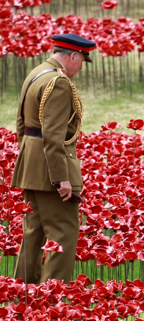 War Flowers: A Red Sea Of Ceramic Poppies