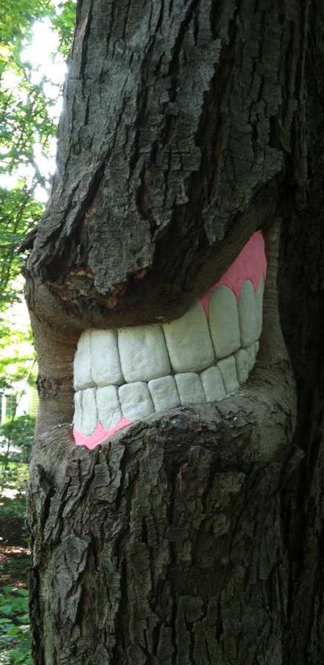 Bark With Bite: The Toothy Tree Art Of Patrick Catalde