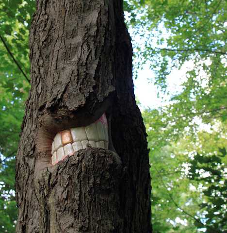 Bark With Bite: The Toothy Tree Art Of Patrick Catalde