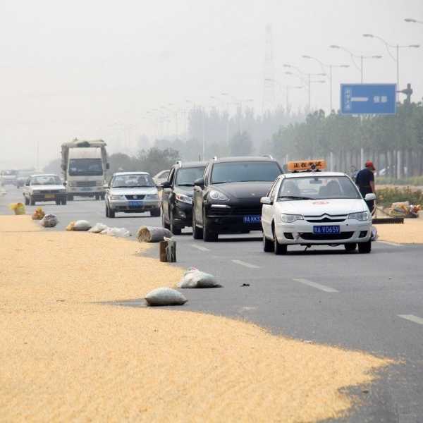 China’s Corn Farmers Impound The Pavement