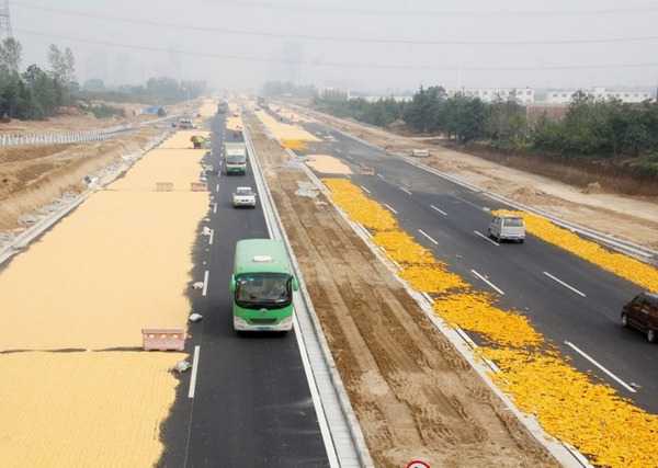 China’s Corn Farmers Impound The Pavement