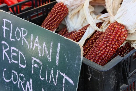 Oh My Cob! 7 Amazing Colorful Corn Varieties
