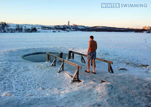 Cold Comfort: Polar Bear Swims Do A Body Good
