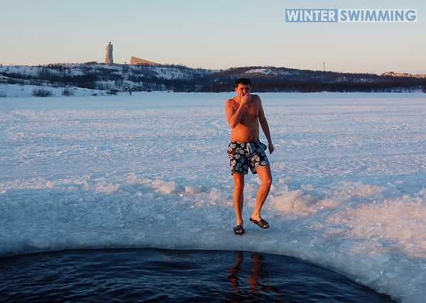 Cold Comfort: Polar Bear Swims Do A Body Good