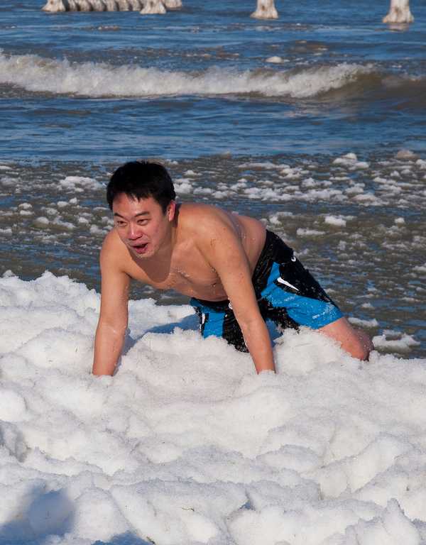 Cold Comfort: Polar Bear Swims Do A Body Good