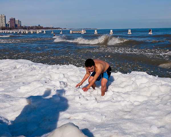 Cold Comfort: Polar Bear Swims Do A Body Good