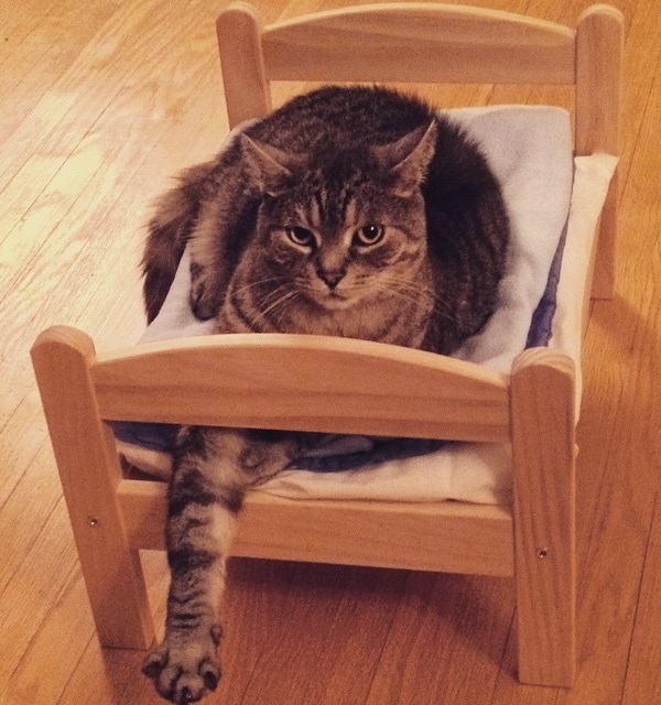 IKEA Doll Beds Are Going To The Dogs & Cats