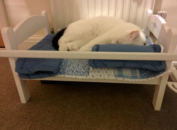 IKEA Doll Beds Are Going To The Dogs & Cats