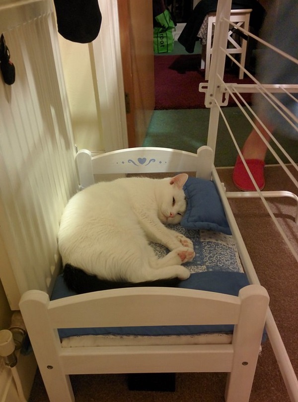 IKEA Doll Beds Are Going To The Dogs & Cats