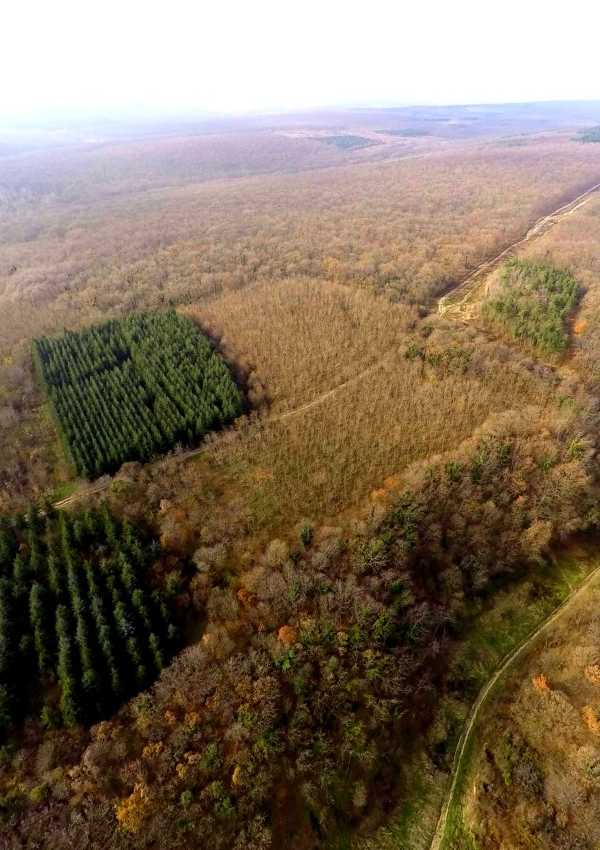 Canceled Gas Pipeline Thrills Environmentalists