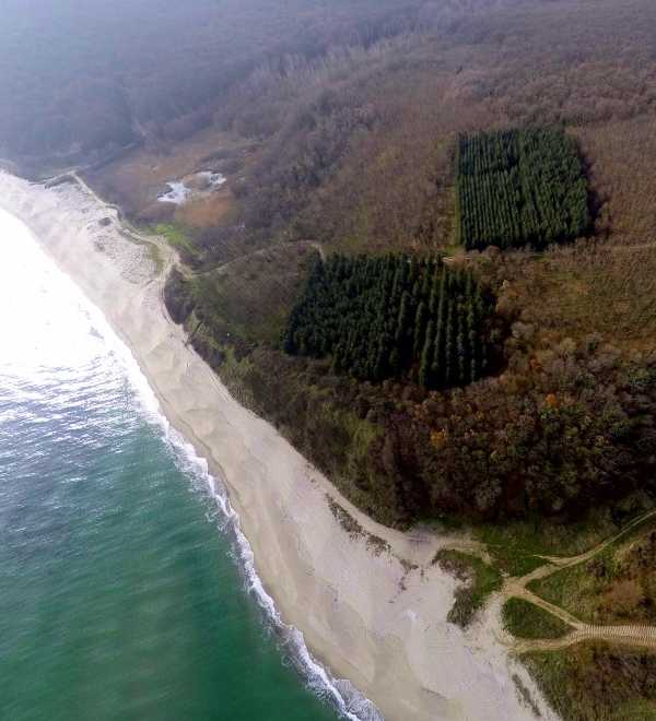 Canceled Gas Pipeline Thrills Environmentalists