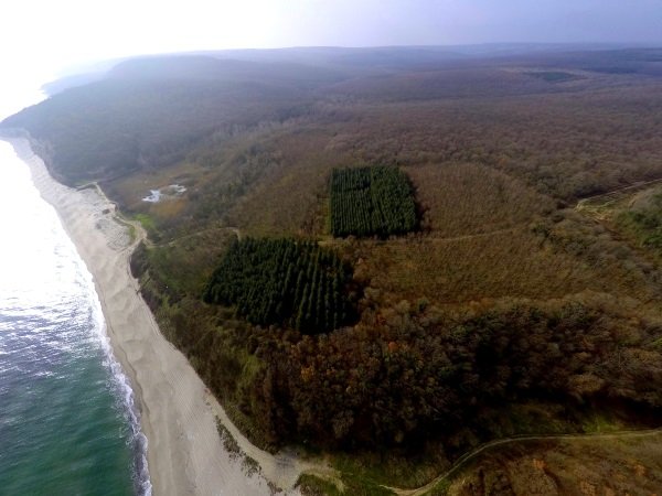 Canceled Gas Pipeline Thrills Environmentalists