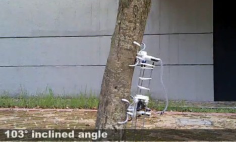 biomimicry inchworm robot