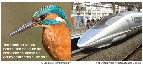 biomimicry kingfisher bullet train
