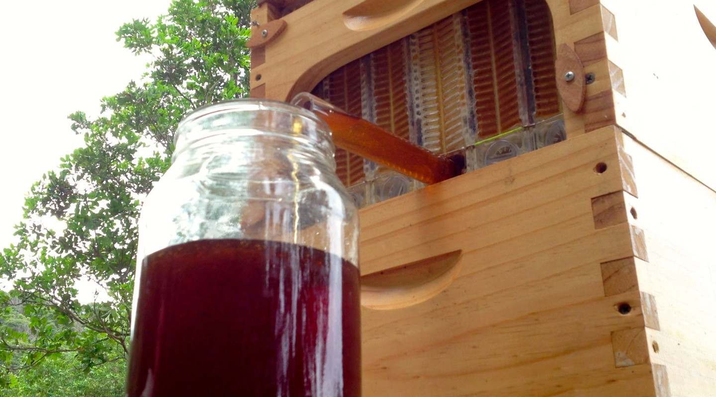 flow hive 2