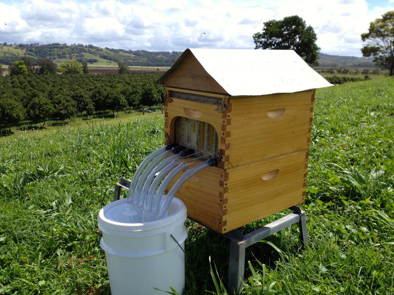 flow hive 3