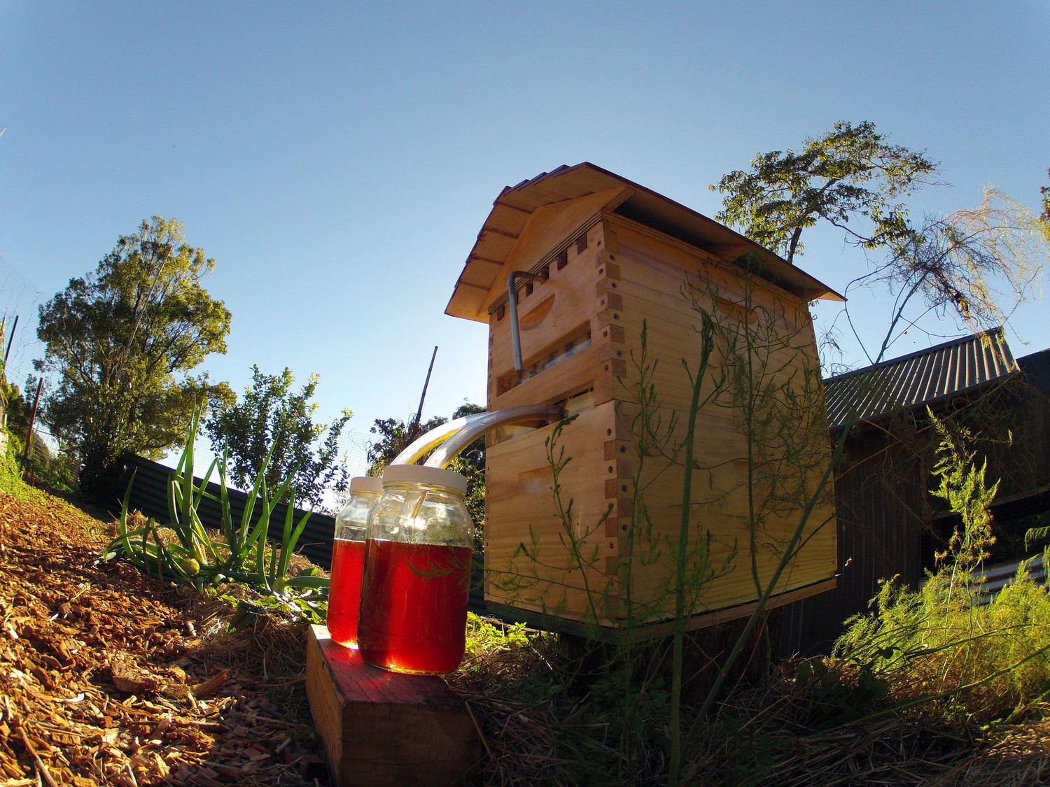 flow hive 4