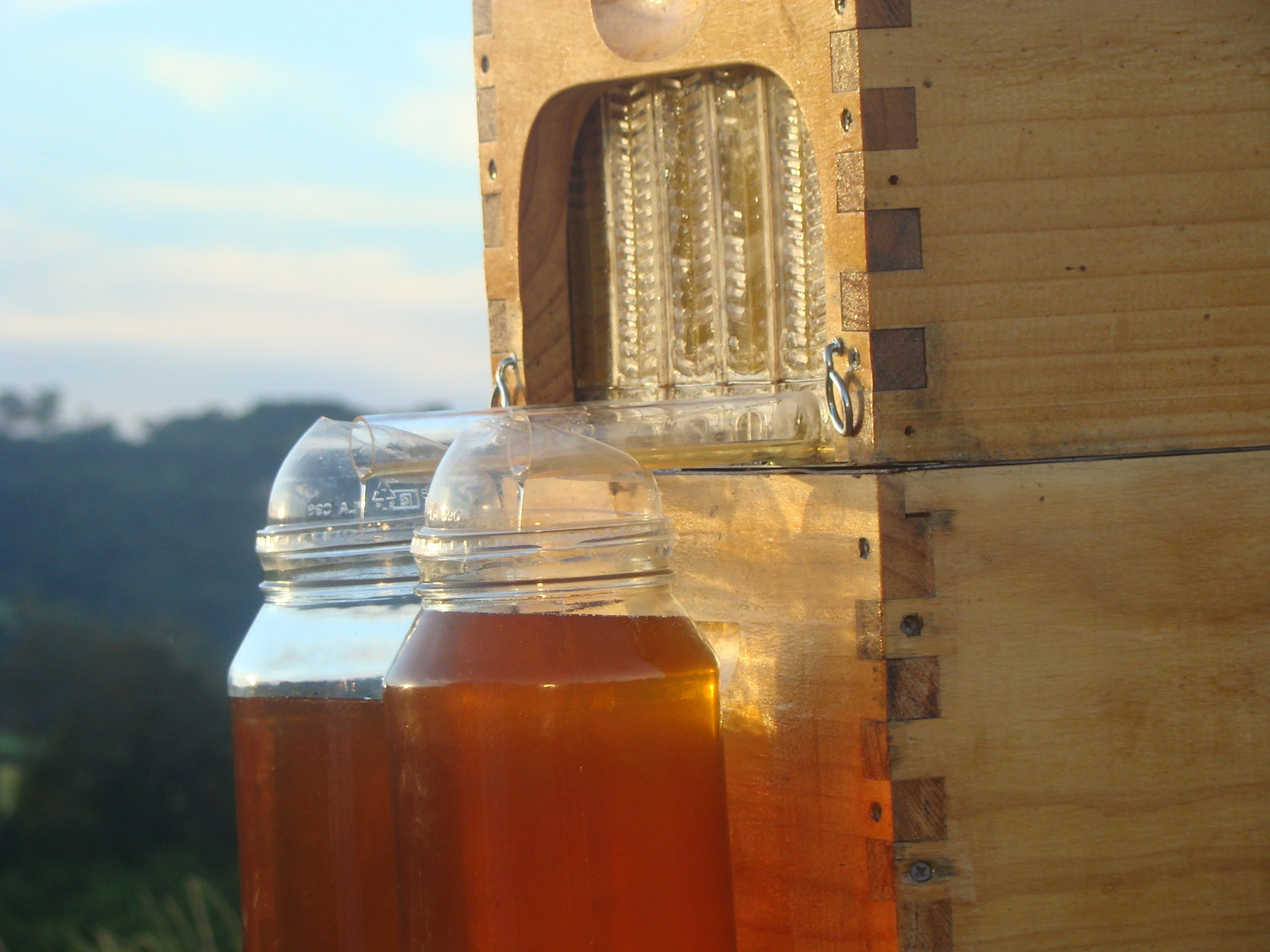 flow hive 5