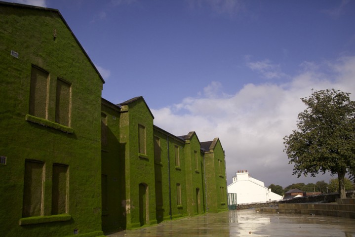 living walls