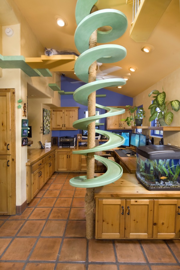 California Cat Lover's House 62x
