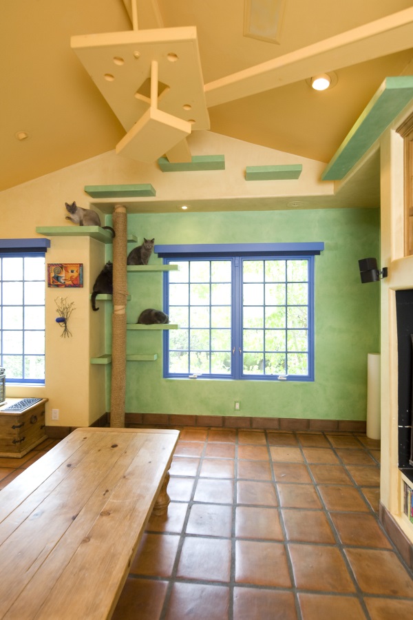 California Cat Lover's House 66x