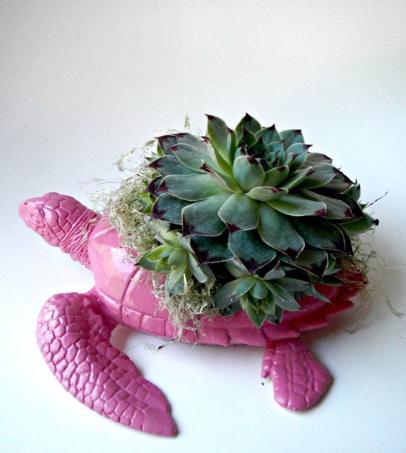 animal planter 1