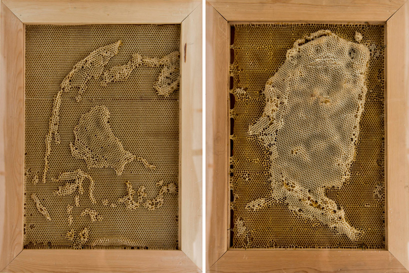 beeswax 6