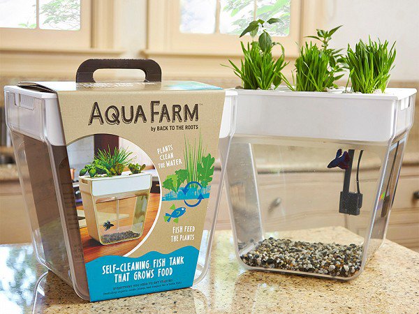 modern planters aquafarm 2