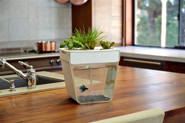 modern planters aquafarm