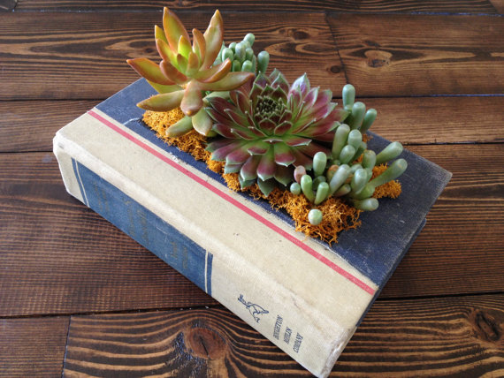 modern planters book 2