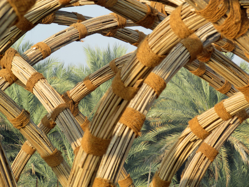 palm shelter 3