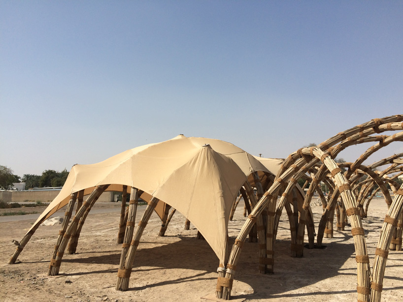 palm shelter 4
