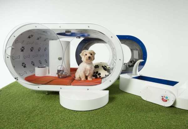 Samsung Dream Doghouse 10