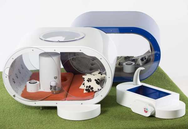 Samsung Dream Doghouse 11