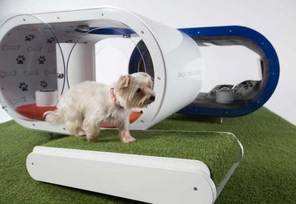 Samsung Dream Doghouse 4