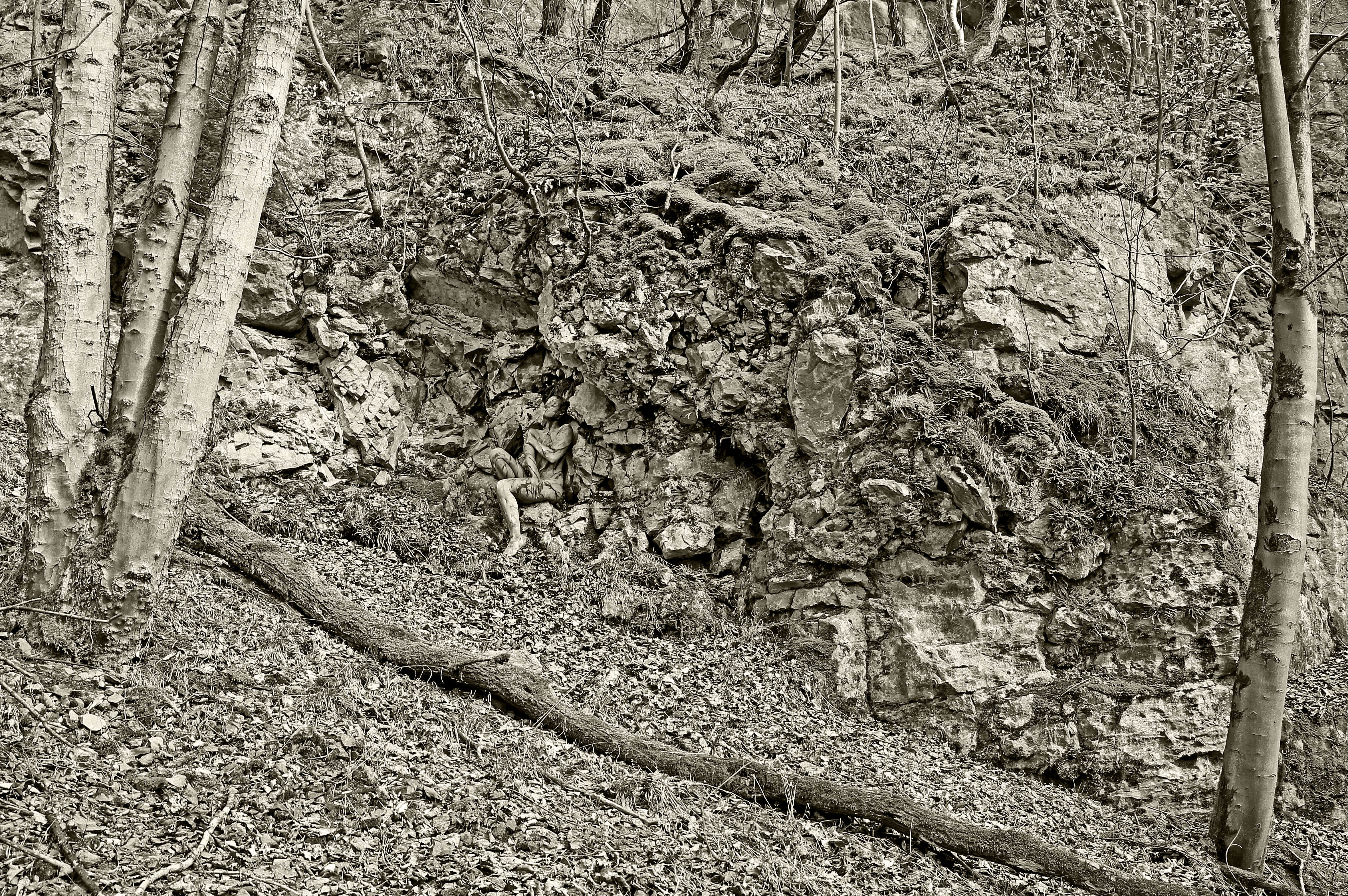 German body-painting artist Joerg Duesterwald's 'Rock Face'