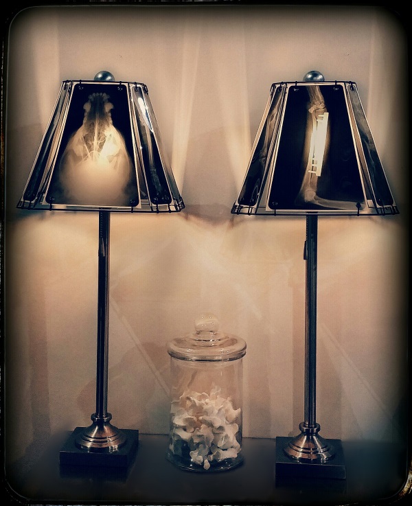 Animal X-Ray Lampshades 12