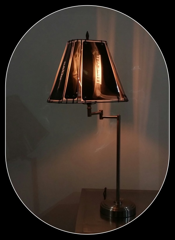 Animal X-Ray Lampshades 14
