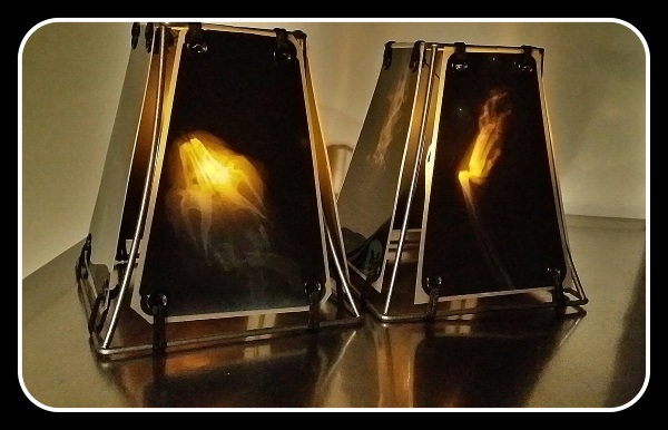 Animal X-Ray Lampshades 16