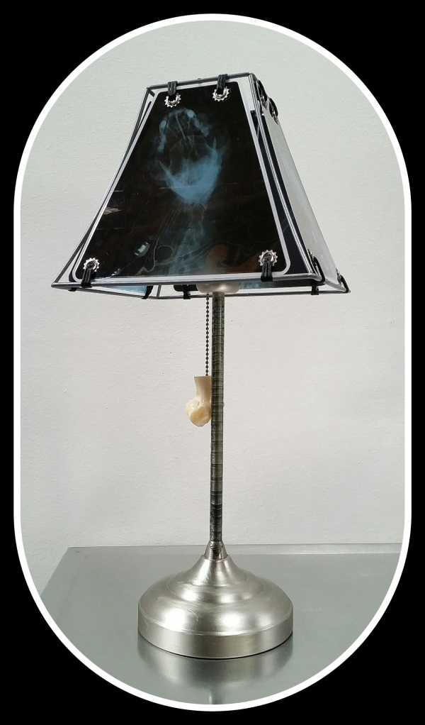 Animal X-Ray Lampshades 17