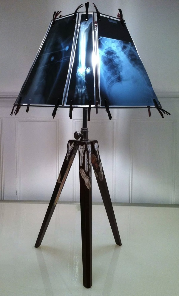 Animal X-Ray Lampshades 21