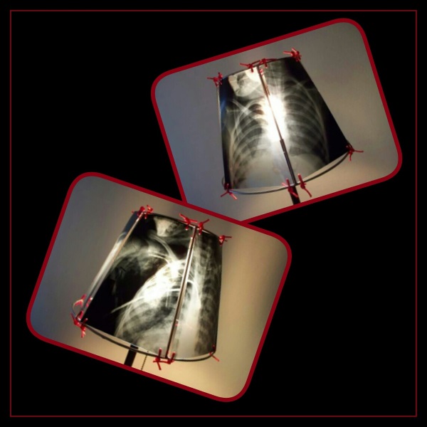 Animal X-Ray Lampshades 7