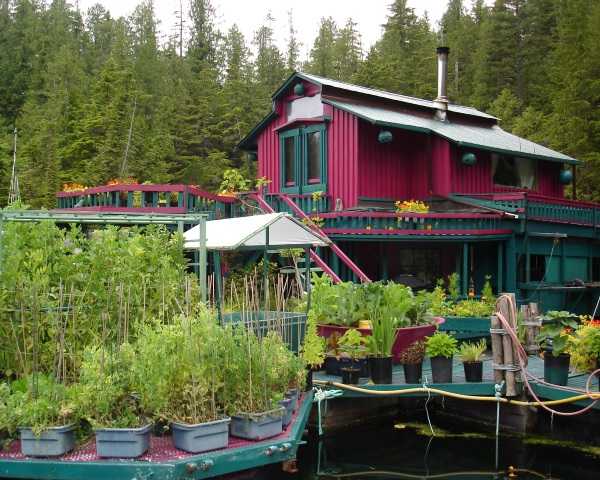 artificial island 11