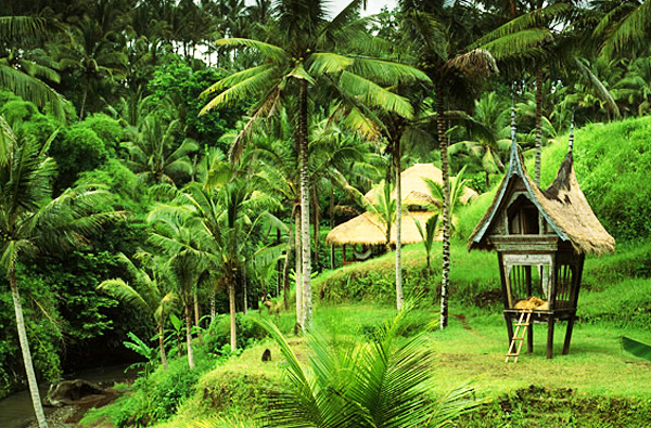 dream destinations panchoran 2