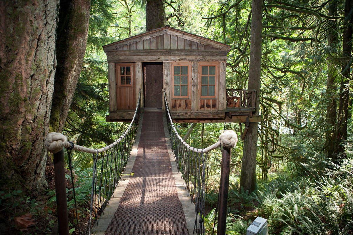 dream destinations treehouse point 1
