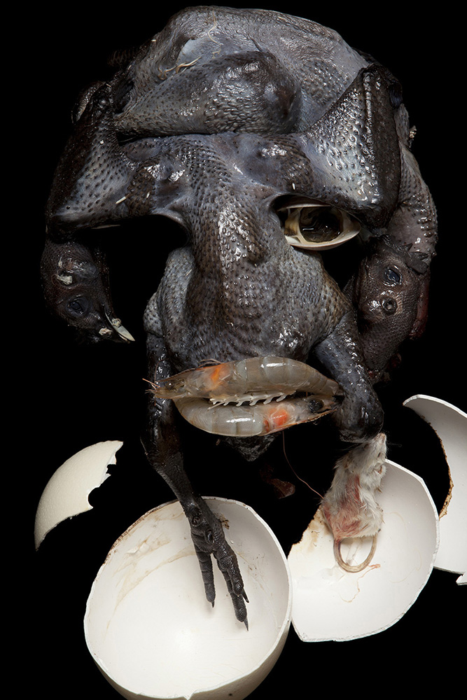 Sculptor crafts odd busts from organic refuse...
