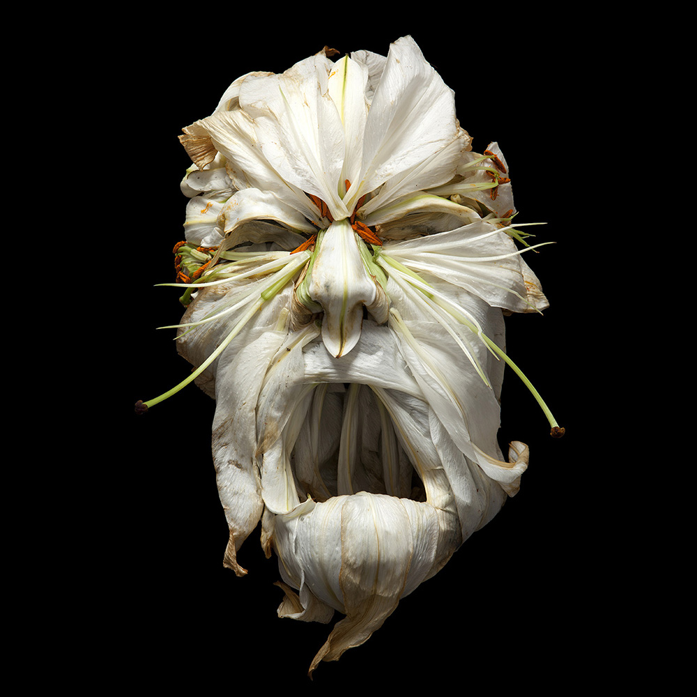 Sculptor crafts odd busts from organic refuse...